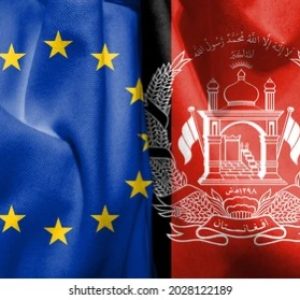 WhatsApp Image 2025-05-20 at 1.51.38 AM (1)